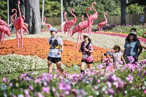 BIB: 
                            <button type="button" onclick="openModal(27794103)" class="btn btn-primary btn-sm float-right btn-popup" data-toggle="modal" data-target=".modal-high-quality">
                        <i class="fas fa-shopping-cart"></i> Add to Cart
                    </button>
                                            <button type="button" onclick="isThisMe(27794103, true)" class="btn btn-success btn-sm float-right btn-popup btn-isme hidden" data-toggle="tooltip" data-placement="bottom" title="นี่คือรูปของคุณใช่ไหม คลิกที่นี่เพื่อเอาเข้าอัลบั้ม">
                        <i class="fas fa-plus"></i> Add to album
                    </button>
                    <button type="button" onclick="isThisMe(27794103, false)" class="btn btn-warning btn-sm float-right btn-popup btn-isnotme hidden">
                        <i class="fas fa-ban"></i> Remove from album
                    </button>